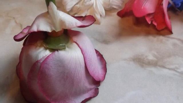 Куклы и другие поделки из цветов смотреть онлайн