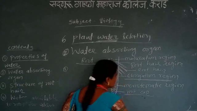 XII Plant water relation lec 2 смотреть онлайн