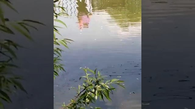 Деревня кнутова смотреть онлайн