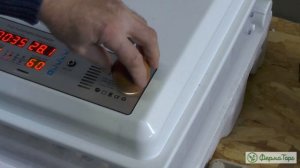 Выведение цыплят в инкубаторе МС-120. Эксперимент! ИНКУБАЦИЯ ПРИ НИЗКОЙ НАРУЖНОЙ ТЕМПЕРАТУРЕ!