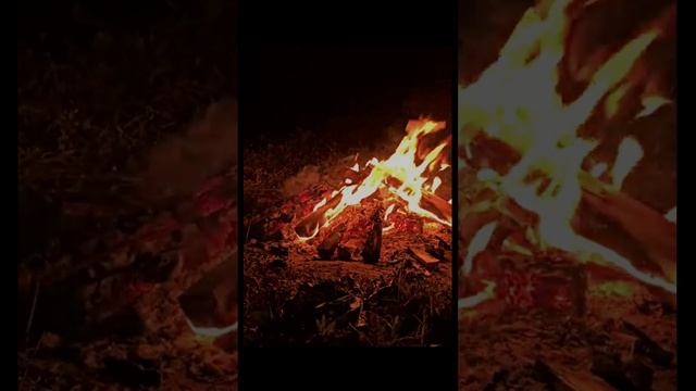 Звук ночного костра и леса для гармонии и спокойствия