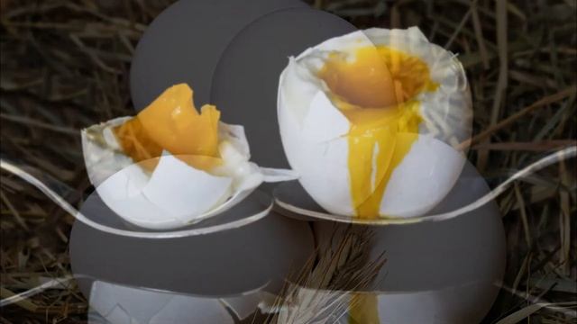Приметы про яйца: к чему разбить, значение двух желтков, приметы про яйца на Пасху смотреть онлайн