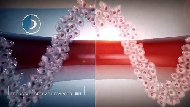 "Ритмы здоровья". Сибирское здоровье в Зеленограде смотреть онлайн