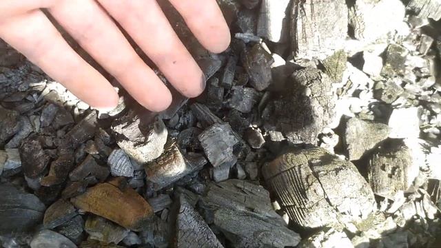 Тля и муравьи ТЕРПЕТЬ НЕ МОГУТ ЭТО. Черная палка от тли и муравьев. смотреть онлайн