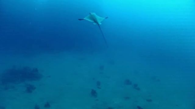 Le Fantasticherie Del Banco Di Santa Croce