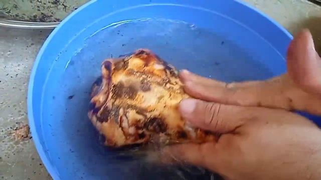 how to clean goat head || easy way || wardah's kitchen смотреть онлайн