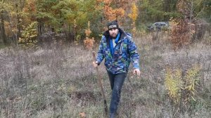 Мед будет всегда в ульях ЕСЛИ все пчеловоды будут так делать.Высаживаем медонос