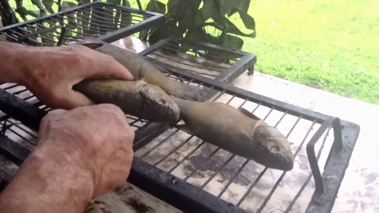 Дегустация копченого линя. Рыбацкая Деревня в Юрлово.18.06.2024 смотреть онлайн