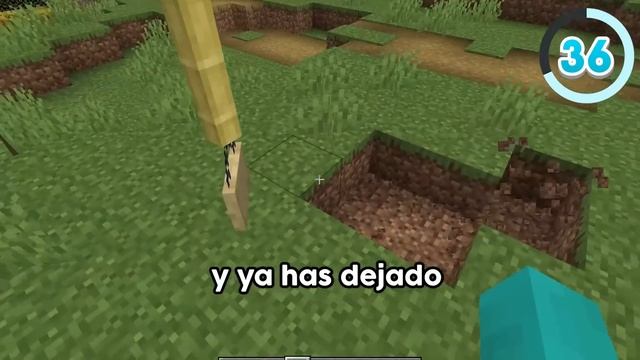 64 Increíbles Trucos de Construcción Para Minecraft 1.20! смотреть онлайн