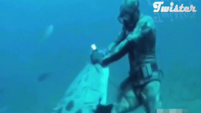 Хищники, животные, люди. смотреть онлайн