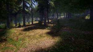 Medieval Dynasty ? Гайд ? ТОП ЛУЧШИХ МЕСТ ДЛЯ ДЕРЕВНИ !!!