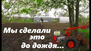 #129 Успели высадить картофель до дождя