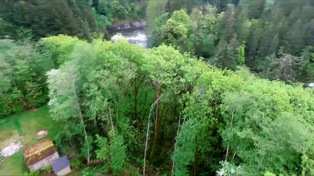 Remax Ocean Pacific Realty 4893 Greaves Cresent смотреть онлайн