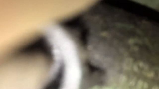 Kühler tauschen - Mercedes Benz 709D (T2/LN1) смотреть онлайн