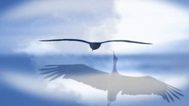 Я ПТИЦЕЙ В НЕБО ВЗМЕТНУСЬ.wmv смотреть онлайн