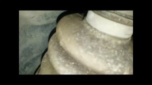 Пыльники шруса внутренние  Kia Rio 2012