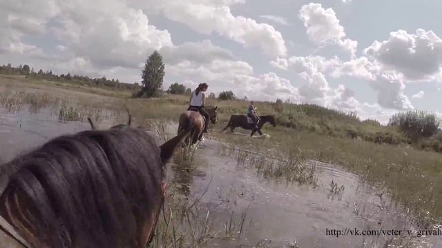 Конный тур. Россия, Тверь / Horse tour. Russia. Tver Region смотреть онлайн