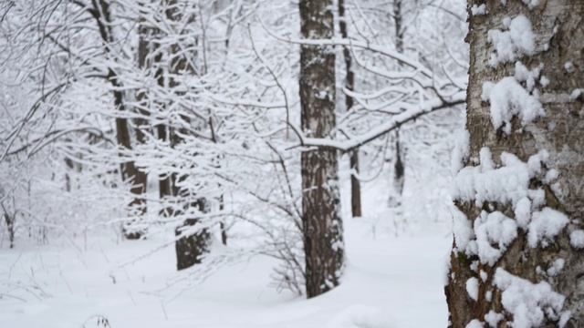 Прекрасный зимний день в Москве Sony A7III test video смотреть онлайн