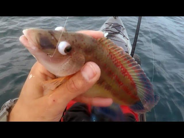 Джиг на глубине 25м+ Рыбалка на каяке - Deep jigging смотреть онлайн