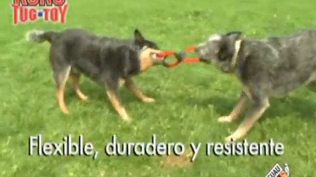 Mister Guau - Juguete perro Kong Thug смотреть онлайн