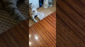 Очень сильно китайские Bell Ross BR03-92 Diver