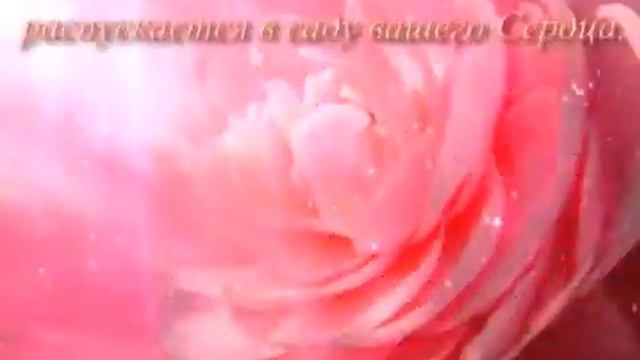 Сергей Мамчур- простая бабушка смотреть онлайн