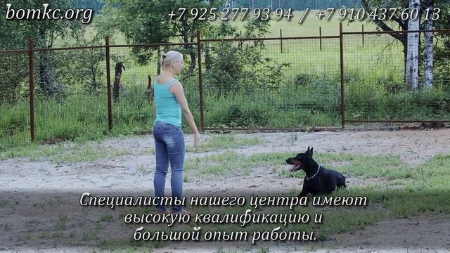 Методический кинологический центр смотреть онлайн