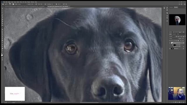 Black Lab Facebook Photoshop edit simple background replacement смотреть онлайн