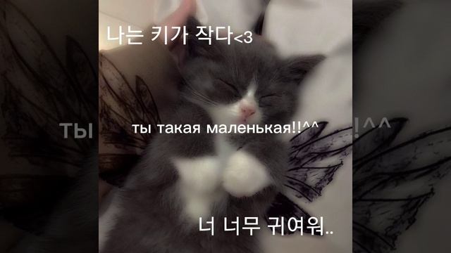 ты такая маленькая, растишку не ела? ^низкий рост саблиминал + мини бустер^