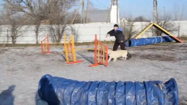 Владимир и Зира смотреть онлайн