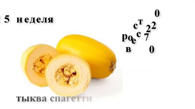Беременность в фруктах и овощах смотреть онлайн