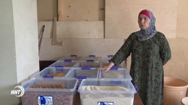 Лечебные свойства и полезные советы