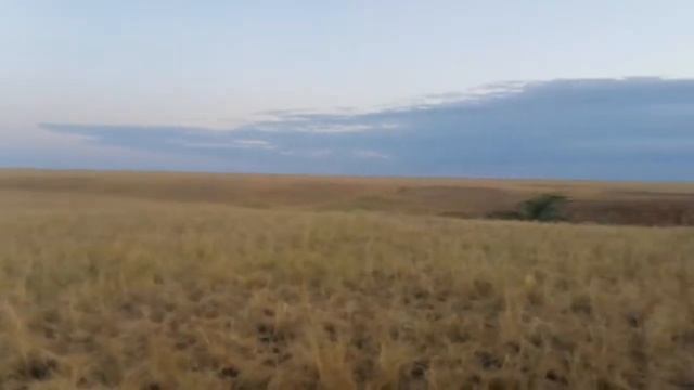 Казахстан! волшебные и завораживающие степи Торгая! смотреть онлайн