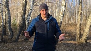 Какое масло залить для смазки шины и цепи бензопилы?