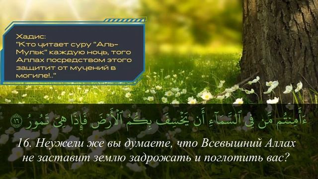 Сура аль Мульк ЗАСТУПИТСЯ за тебя в Судный день и защита от мучений в могиле смотреть онлайн