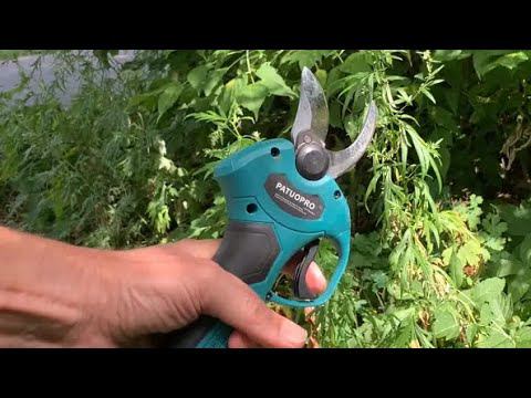 Аккумуляторный секатор в деле