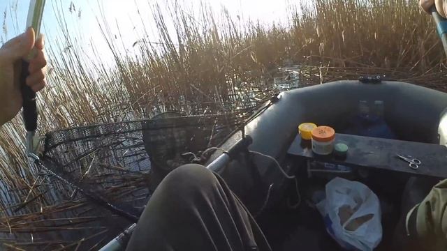 Ловля КРУПНОГО карася ! I Мерный карась на опарыш и бутерброд(опарыш+червь) смотреть онлайн