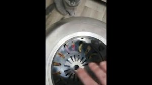 Тушенка из мяса косули.