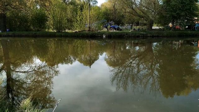 Рыбалка весной на платнике. Карп, карась, белый амур на 2 кг смотреть онлайн
