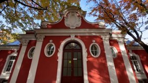 5 операторских приёмов на смартфон со стабилизатором для начинающих