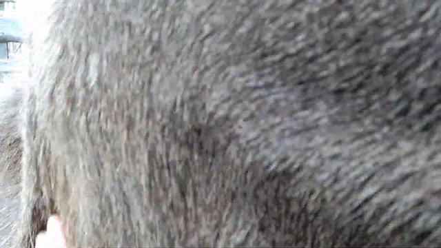 10.05.22 обо всём и субботнике тоже смотреть онлайн