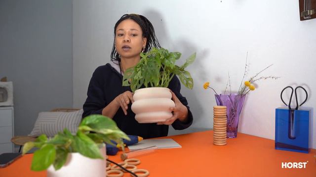 DIY-ANZUCHTVASEN, MONSTERA MONKEY LEAF & EFEUTUTE VERMEHREN | HORST DIY