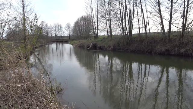 ПЕРВЫЙ ПОШЕЛ. ЛОВИЛИ ГОЛАВЛЯ, КЛЕВАЛИ ЩУКИ. смотреть онлайн