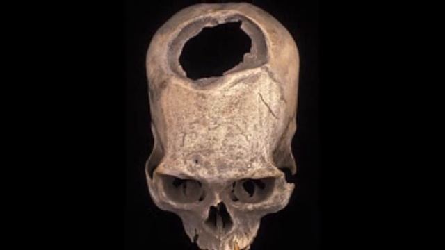 Ancient Giant Remains Found Buried In Alaska смотреть онлайн