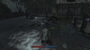 Risen - Баг на золото