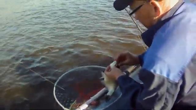 #Лещ #наВолге под Казанью,Боровое Матюшино ч.1 смотреть онлайн