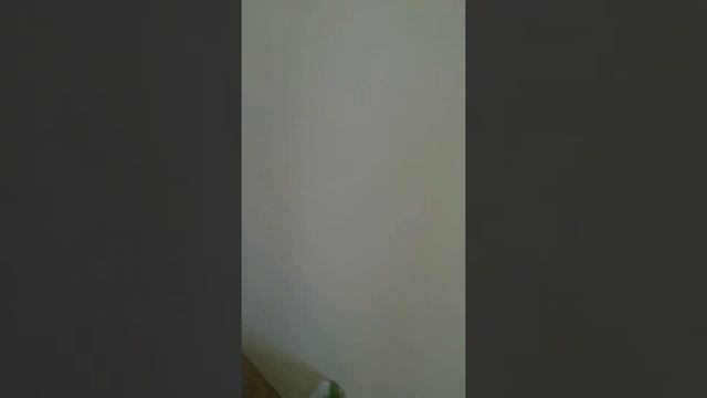 Альпинизм в ремонте квартир. процесс работ (ремонт и отделка квартир в Спб под ключ) +7(963)3191122 смотреть онлайн