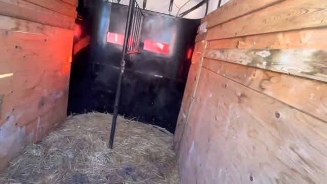 Едем смотреть на новую Джерсейскую корову. Наш прицеп для перевозки коров и другой живности. смотреть онлайн