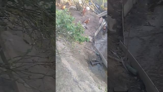 нормальные герои всегда идут в обход смотреть онлайн