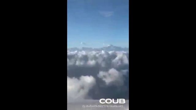 Подборка приколов с животными.Потрясающие виды нашей планеты Collection Of Jokes №5 #COUB2022